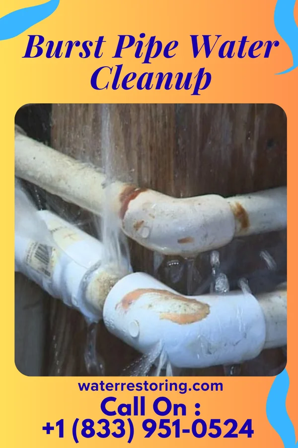 Burst Pipe Water Cleanup in Sail Harbor, CT