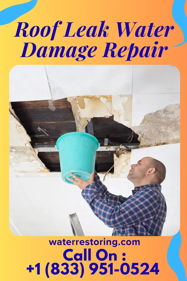 Roof Leak Water Damage Repair in Sail Harbor, CT